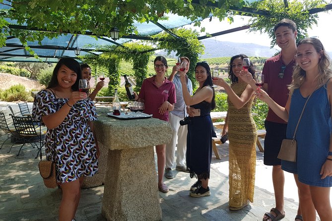 Douro Valley for Wine Lovers with Visit to 4 Wineries and Lunch - Key highlights I’d mark on your map
