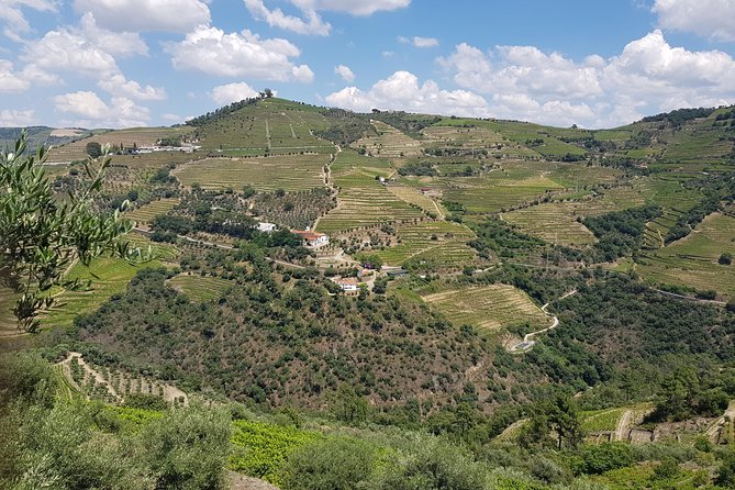 Douro Valley for Wine Lovers with Visit to 4 Wineries and Lunch - Douro Valley Wine Tour from Porto, why it works