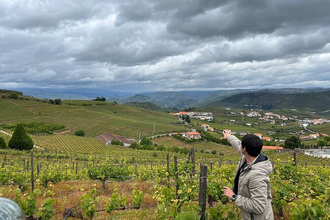 Douro Valley for Wine Lovers with Visit to 4 Wineries and Lunch - Olive oil tasting, honey, and the flavors beyond wine