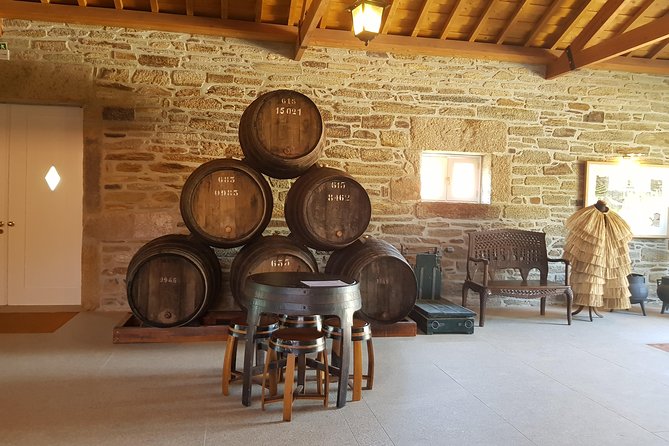 Douro Valley for Wine Lovers with Visit to 4 Wineries and Lunch - Group size and timing: usually smooth, sometimes not perfect
