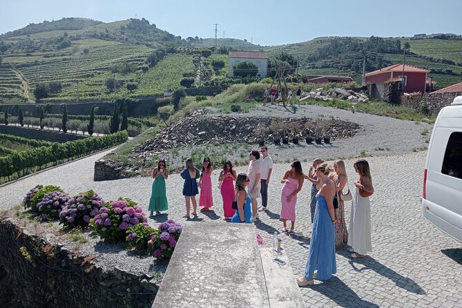 Douro Valley for Wine Lovers with Visit to 4 Wineries and Lunch - Getting there: pickup, meeting point, and what the ride feels like