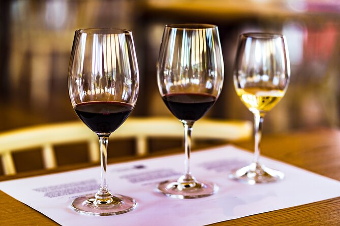 Douro Valley: Historical Sites, Wine Experience, Lunch & Cruise - Driving the N222: the scenic road that turns “travel time” into part of the tour