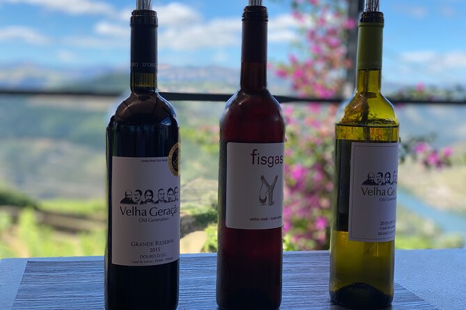 Douro Valley in a Tesla - Tesla in the Douro: why the ride feels like part of the experience