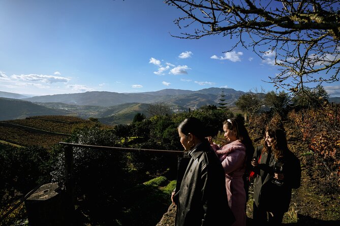 DOURO VALLEY: Lunch in a winery, tastings & 1-h private boat tour - Peso da Régua winery lunch: where the day clicks