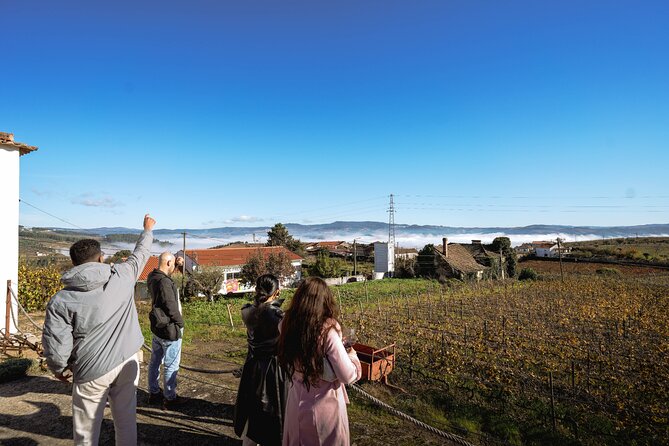 DOURO VALLEY: Lunch in a winery, tastings & 1-h private boat tour - The Port wine finale: aged Port as your closing chapter