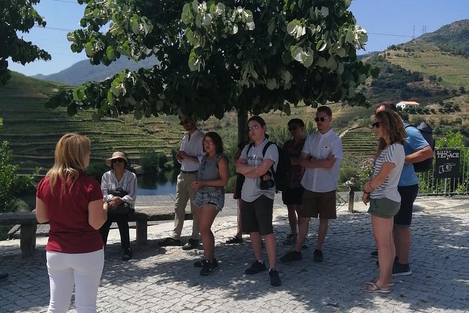 DOURO VALLEY: Lunch in a winery, tastings & 1-h private boat tour - Price and value: is $139.08 a fair deal?