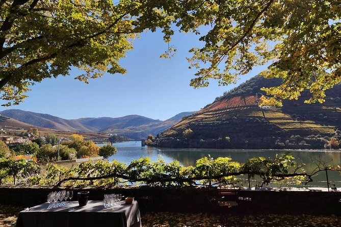 Douro Valley Pinhao Quinta da Foz Tour and Tasting 5 Wines - The 5-wine tasting plus extra virgin olive oil: what to focus on