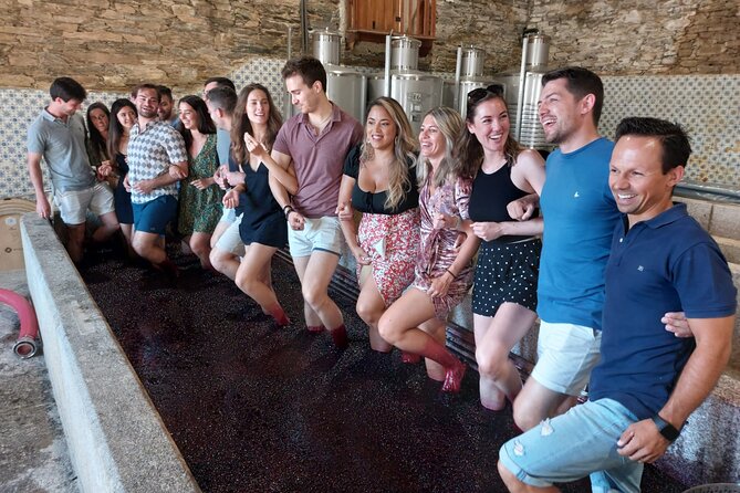 Douro Valley Pinhao Quinta da Foz Tour and Tasting 5 Wines - Price and value for a private Douro afternoon