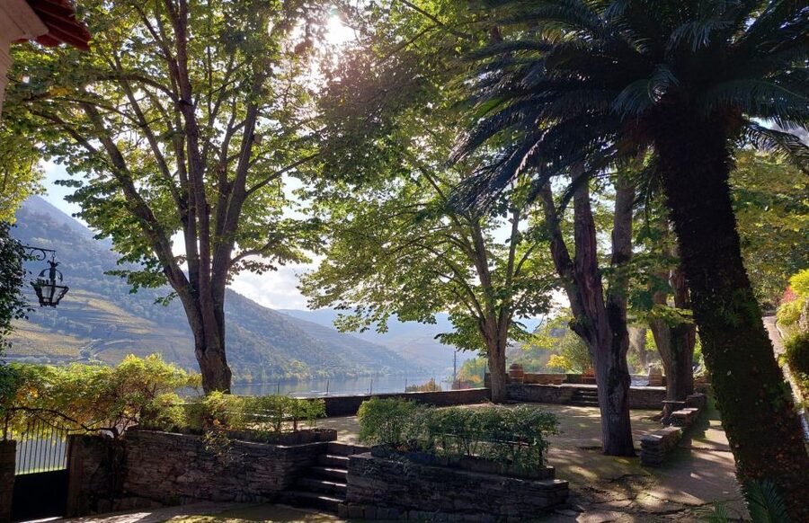 Douro Valley: (Pinhão) Quinta da Foz - Tour&Tasting 5 WINES - Key points