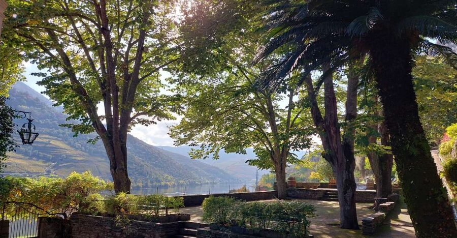 Douro Valley: (Pinhão) Quinta da Foz - Tour&Tasting 5 WINES - Old winemaking details: grape-stomping granite tubs and big casks