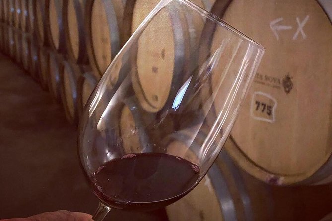 Douro Valley Premium Private - Lunch and the gourmet meal question you should confirm