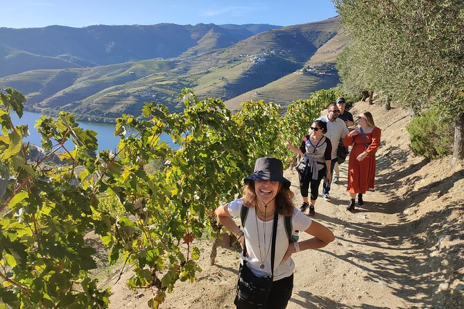 Douro Valley Premium Tours - Private Driver & Guide - Key highlights to know before you go
