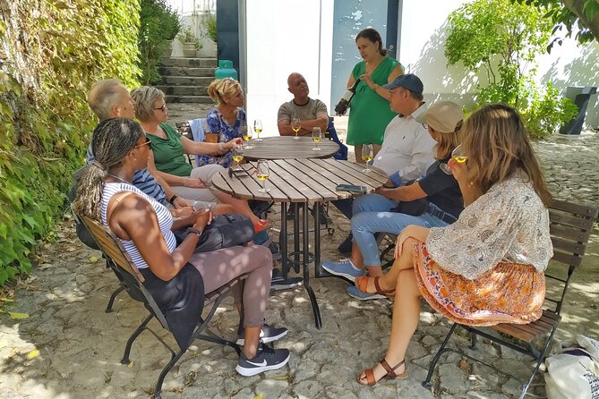 Douro Valley Prime Tour: Wine Tastings, Boat & Lunch from Porto - Ponte Pedonal Metalica de Peso da Regua: your first real Douro moment