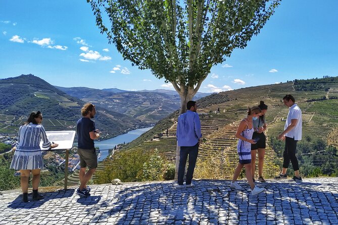 Douro Valley Prime Tour: Wine Tastings, Boat & Lunch from Porto - Lunch at the vineyard: the part that turns the day into a meal, not a tour