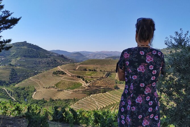 Douro Valley Prime Tour: Wine Tastings, Boat & Lunch from Porto - The small-boat Douro cruise: your calm break
