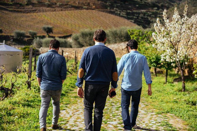 Douro Valley Private Day Trip including Boat Ride & Wine Tasting - From Porto at 9:00, with pickup that makes the day feel easy