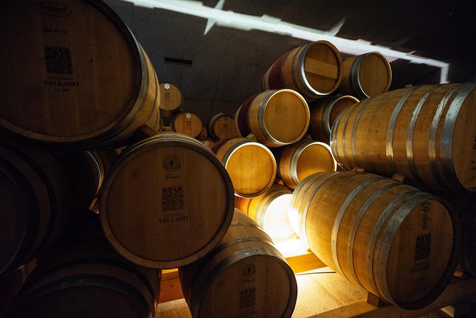 Douro Valley Private Day Trip including Boat Ride & Wine Tasting - Your guide makes the difference, and names matter here