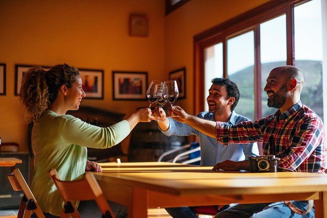 Douro Valley Private Day Trip including Boat Ride & Wine Tasting - CO2 neutral, but the real win is still time well spent