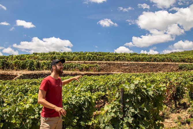 Douro Valley: private tour with lunch and wine estate all inclusive - A Private Douro Day From Porto That Feels Like It Has a Plan