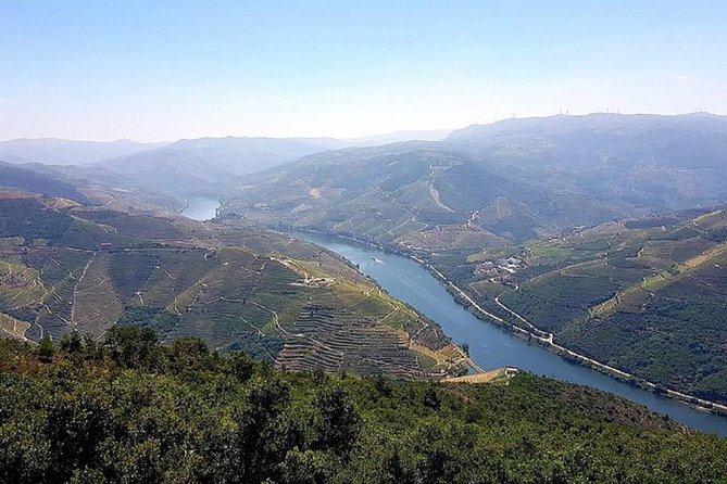 Douro Valley: private tour with lunch and wine estate all inclusive - Lunch in the Douro Valley With Drinks Included