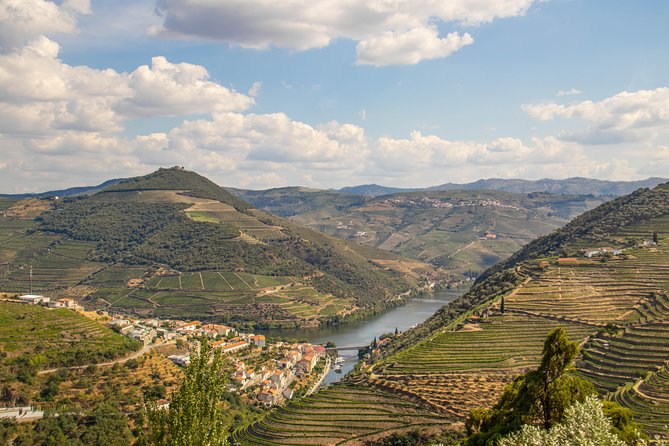 Douro Valley: private tour with lunch and wine estate all inclusive - Pinhão Quinta Visit: Guided Vineyard Walk, Then Tastings
