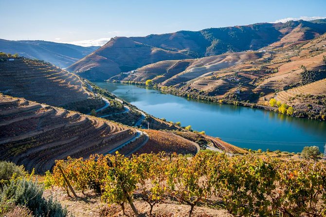 Douro Valley: private tour with lunch and wine estate all inclusive - The Morning Drive Includes Real Portugal Talk, Not Just Small Talk