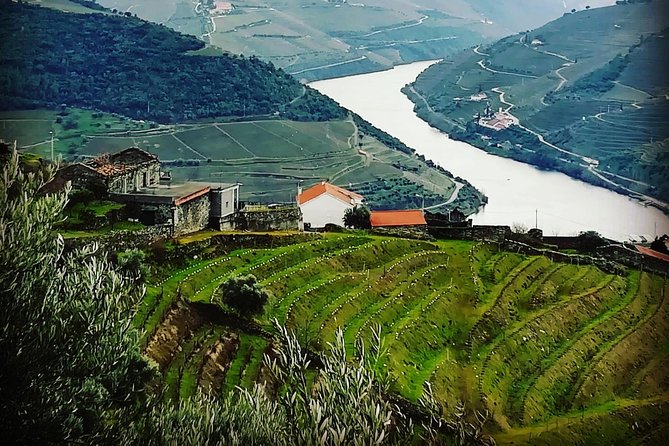 Douro Valley Private Wine and Food Tour From Porto - From Porto Pickup to Douro Valley, Without the Stress