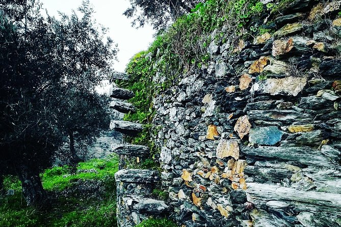 Douro Valley Private Wine and Food Tour From Porto - Pinhão Lunch in Your Own Budget, Plan It Like a Local