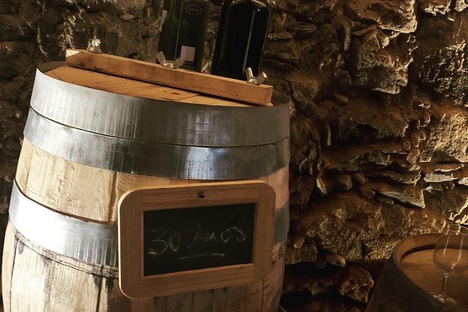 Douro Valley Private Wine and Food Tour From Porto - D’Origem: Second Winery Energy and Another Round of Tasting