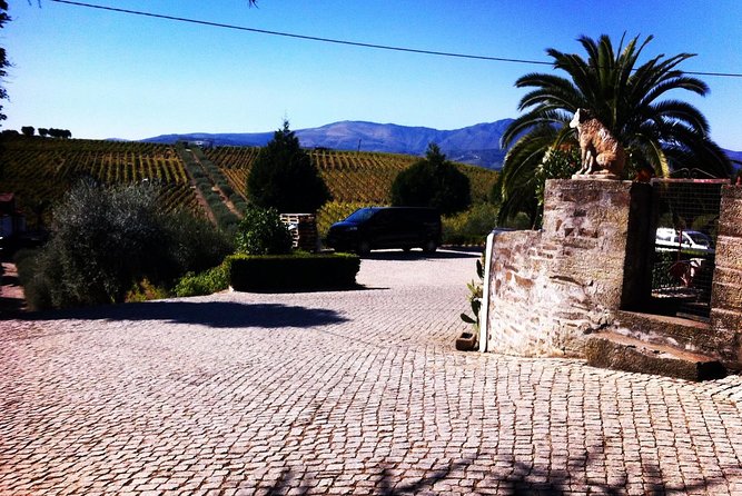 Douro Valley Private Wine and Food Tour From Porto - Duration, Timing, and the Weather Reality in the Douro