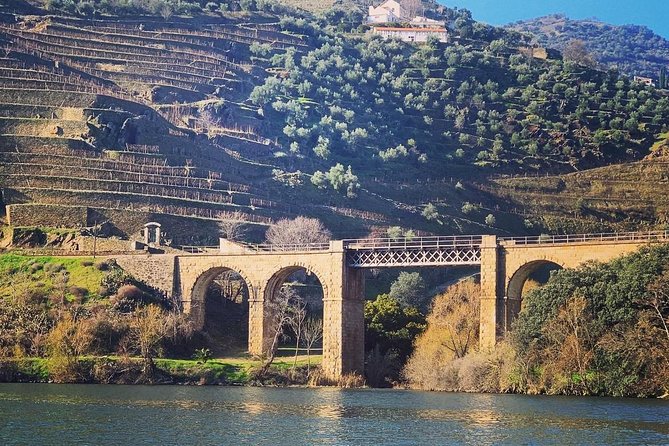 Douro Valley Private Wine and Food Tour From Porto - Guides, Flexibility, and the Human Touch You’re Paying For