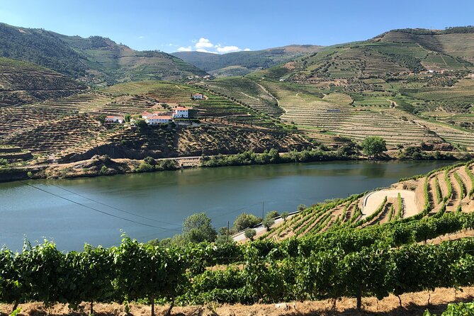 Douro Valley private wine tour | tastings and lunch included - The Duoro Valley in one packed, well-planned day