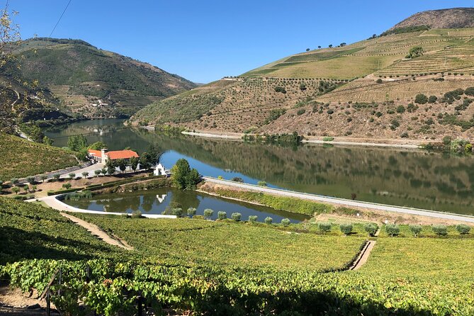 Douro Valley private wine tour | tastings and lunch included - Lunch in the Douro: 3 courses and wine included