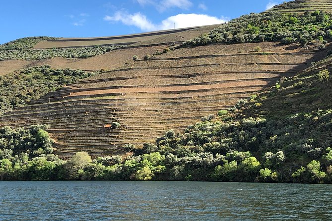 Douro Valley private wine tour | tastings and lunch included - Pickup from Porto, and why it matters for wine days