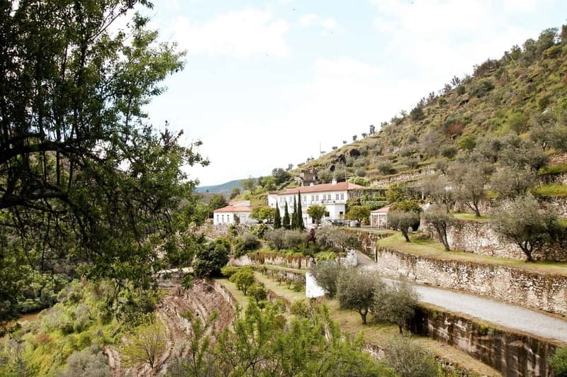 Douro Valley: Real Small-Group, Wine Tasting, Lunch & Boat - Value Check: Is $164 a Good Deal for the Douro?