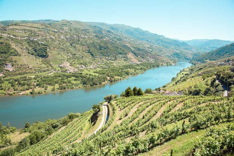 Douro Valley: Real Small-Group, Wine Tasting, Lunch & Boat - The Real Small-Group Advantage: Why This Day Feels Less Crowded