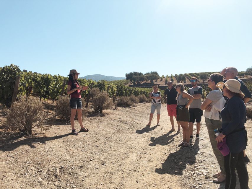Douro Valley: Real Small-Group, Wine Tasting, Lunch & Boat - Pinhão and the 1-Hour Douro River Cruise
