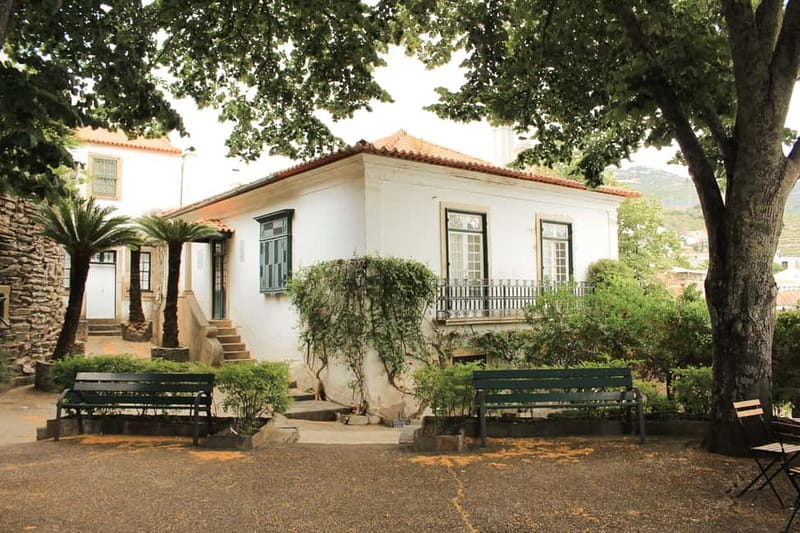 Douro Valley: Real Small-Group, Wine Tasting, Lunch & Boat - Comfort, Timing, and What to Bring