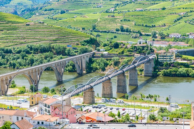 Douro Valley - Relaxed Departure from Porto - Lunch by the Douro: a break that keeps the day enjoyable