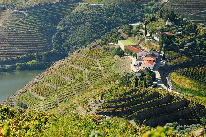Douro Valley - Relaxed Departure from Porto - Quinta de São Luís: one of the best places to taste with real views