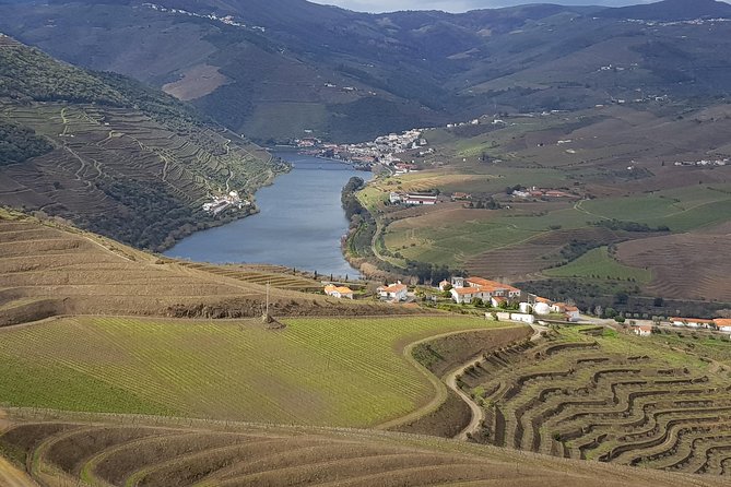 Douro Valley Tour: 2 Vineyard Visits, River Cruise, Winery Lunch - Key points before you go