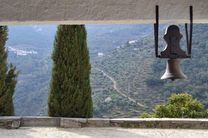 Douro Valley Tour: 2 Vineyard Visits, River Cruise, Winery Lunch - Sabrosa winery lunch: the 4-course meal and port cellar finale