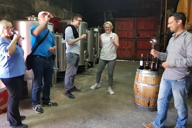 Douro Valley Tour: 2 Vineyard Visits, River Cruise, Winery Lunch - Pinhão river cruise on a traditional Rabelo boat