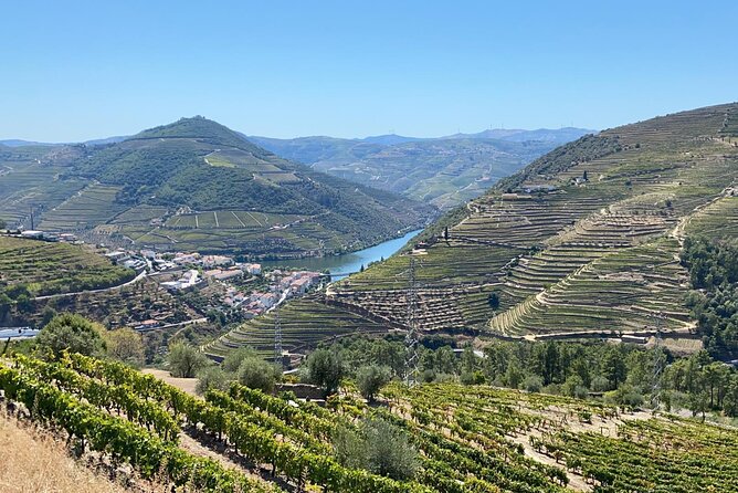 Douro Valley Tour - 3 Wine tastings, Lunch & river Cruise - Pinhão: Rabelo Boat Cruise Option, or a Riverside Stroll