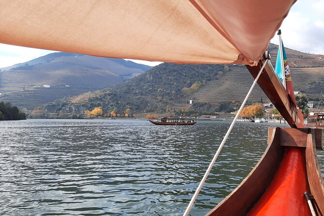 Douro Valley Tour - 3 Wine tastings, Lunch & river Cruise - Amarante: Vinho Verde Pairings, Cheese and Charcuterie, and Historic Walks