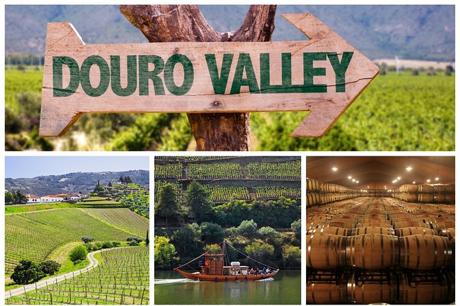 Douro Valley Tour: Wine Tasting, Cruise and Lunch from Porto - Key takeaways before you go