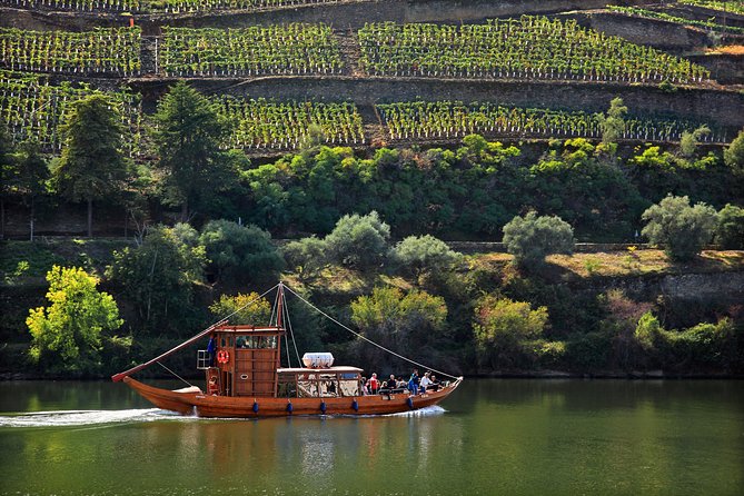 Douro Valley Tour: Wine Tasting, Cruise and Lunch from Porto - Lunch in the Douro Valley drive: fish, meat, or vegetarian choices