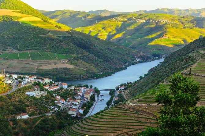Douro Valley Tour: Wine Tasting, Cruise and Lunch from Porto - Price and value for about $84.65: what you truly get
