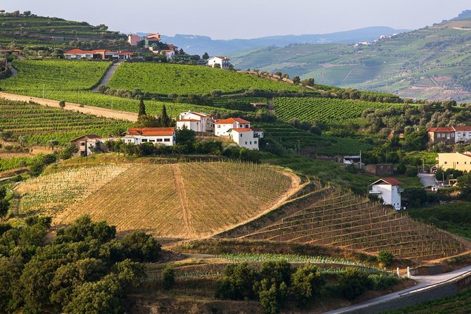 Douro Valley Tour: Wine Tasting, Cruise and Lunch from Porto - Practical tips that make a Douro day trip feel easier