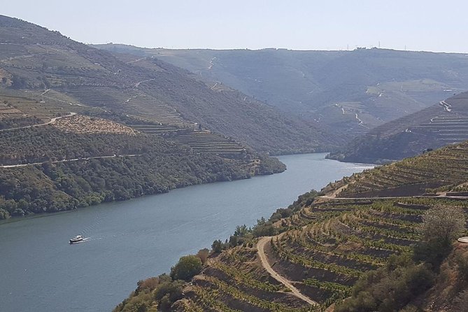 Douro Valley Tour: Wine Tasting River Cruise and Lunch from Porto - Largo do Actor Dias at 8:00 am: your Porto start point